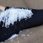 Louro e Sal: Uma Mistura que Vale Ouro na Cozinha e na Vida